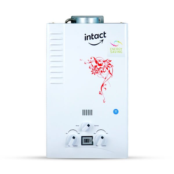 Intact EcoSmart Indoor Water Heater